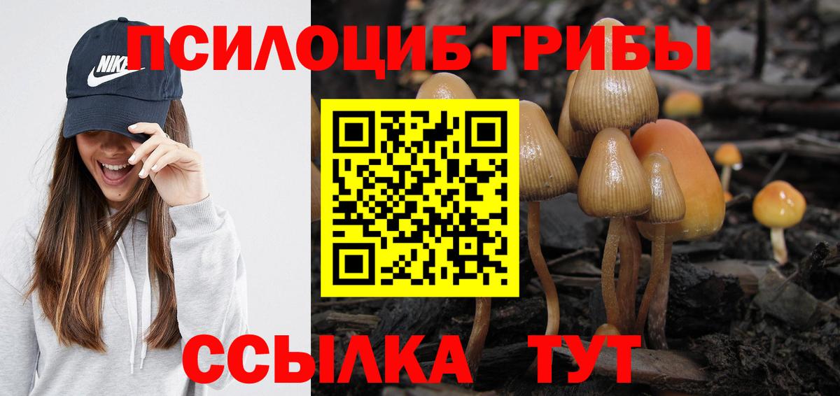 Нововоронеж  Галлюциногенные грибы Psilocybine cubensis  Вход с VPN 