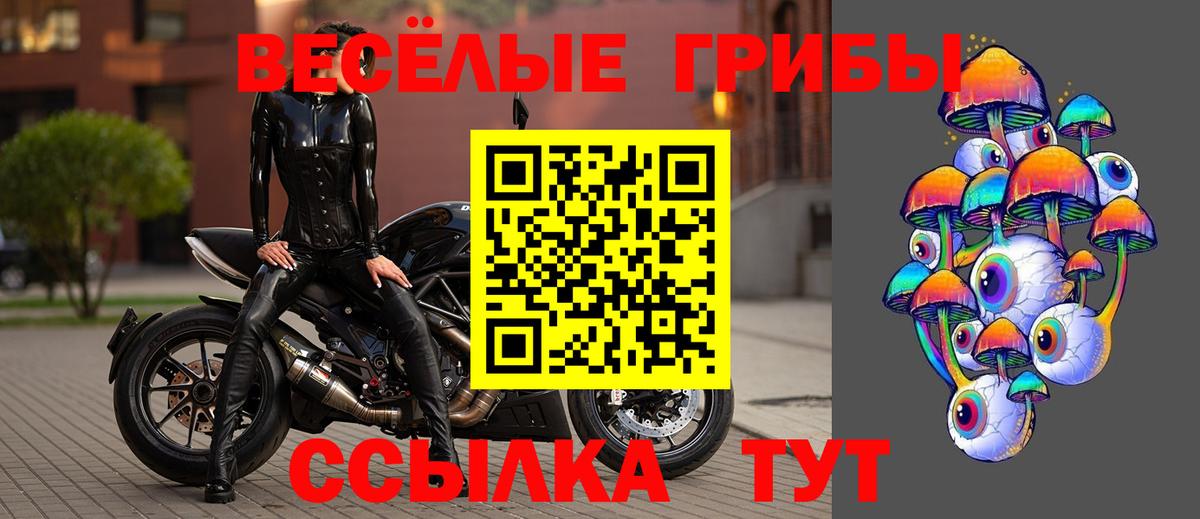 Псилоцибиновые грибы Cubensis Нововоронеж
